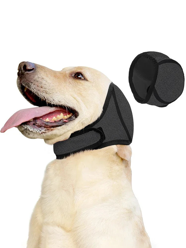 A light-colored dog is wearing a black noise reduction ear muff on its head.