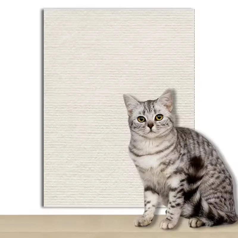 Eine graue Streifenkatze sitzt auf einer hellen Matte.