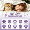 A kitten is resting in a white blanket with a child, illustrating 60-day calming power for cats and dogs.