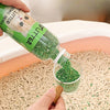 Eine Hand gießt grüne Körner aus einer Flasche in eine Glasschale mit Katzenstreu.