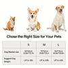 Three dogs and a cat sitting next to a size chart showing blanket dimensions and weight limits for different dog sizes