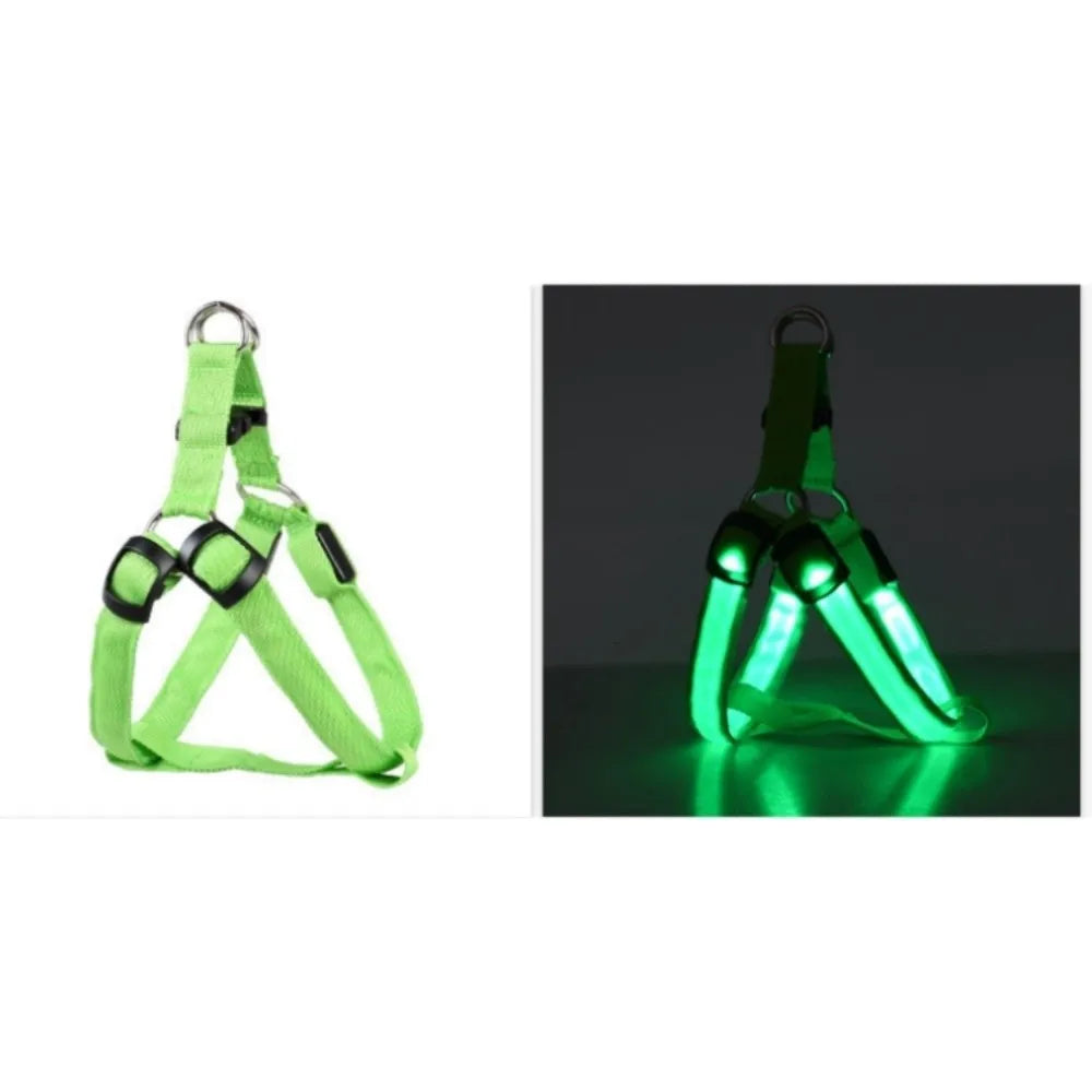 Arnés de perro LED verde brillante para seguridad, mostrado contra un fondo oscuro.