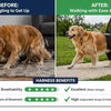Before and after comparison showing a dog struggling to get up versus walking with ease using a harness.