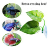 A green Betta resting leaf attached to a clear suction cup for fish decoration.