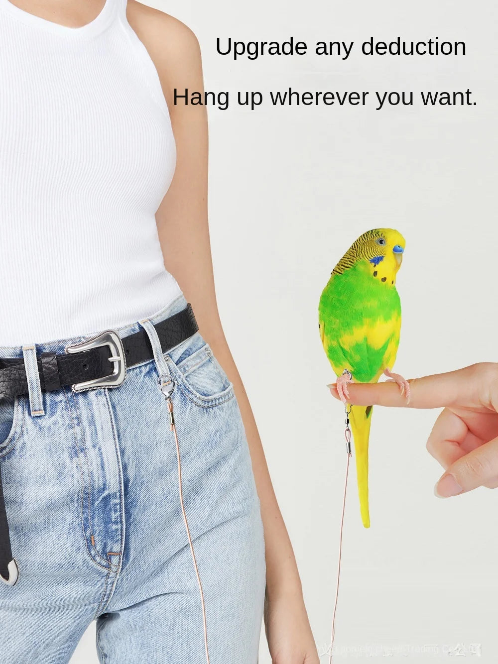 A hand is holding a yellow and green parrot hanging from an adjustable traction rope.
