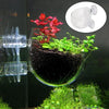 An acrylic aquatic plant pot containing red and green plants, viewed against a dark background.