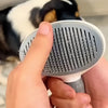 Eine Hand hält eine graue Tierpflegebürste mit feinen Zähnen in der Nähe einer schwarz-weißen Katze.
