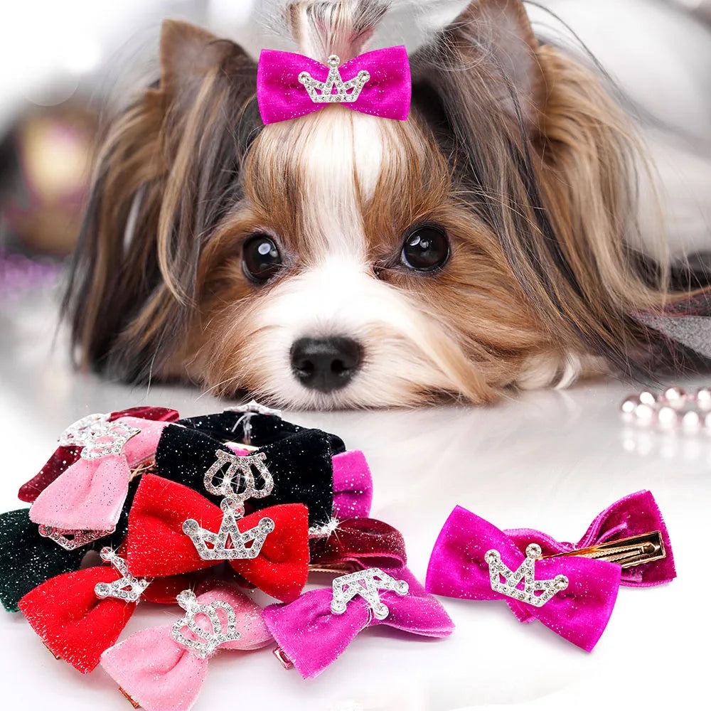 A fluffy dog with brown and white fur is wearing several sparkly pink and purple glitter hair clips.
