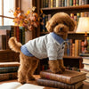 A fluffy brown dog wearing a gray and blue plaid two-piece style hoodie sitting on a stack of books.