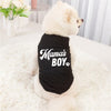 A fluffy white dog wearing a black vest with the text Mama's Boy on it, lying on a white fur rug.