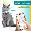 A gray cat wearing a GPS tracking collar is shown next to a smartphone displaying live location tracking.
