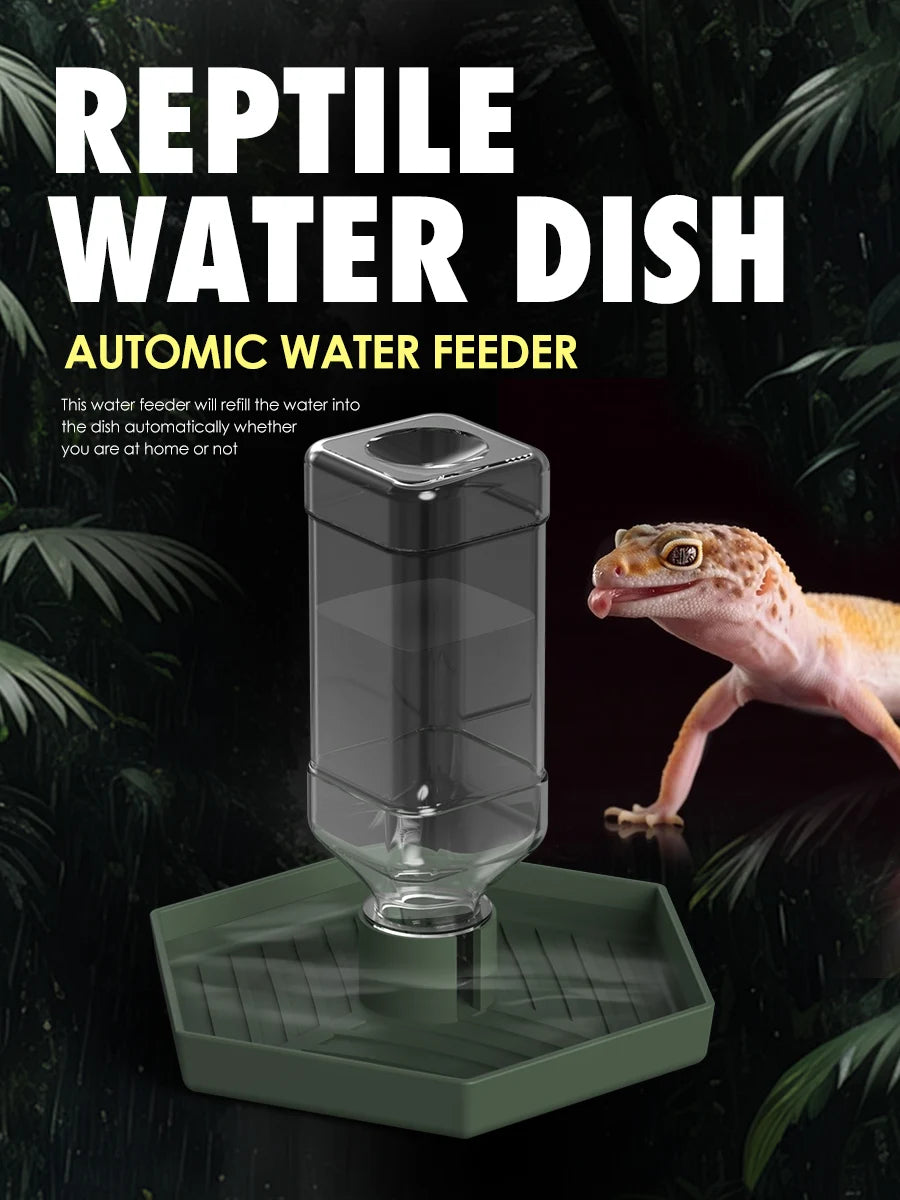 A clear water feeder dish with a feeding mechanism is placed on a green tray, next to a small lizard.
