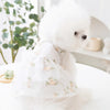 A white fluffy dog dressed in a delicate white dress with floral embroidery and a bow