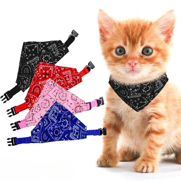 A small orange kitten wearing a black patterned triangle scarf for cats and dogs