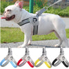 A white dog wearing an adjustable reflective mesh harness vest outdoors, with various colored reflective mesh attachments sho