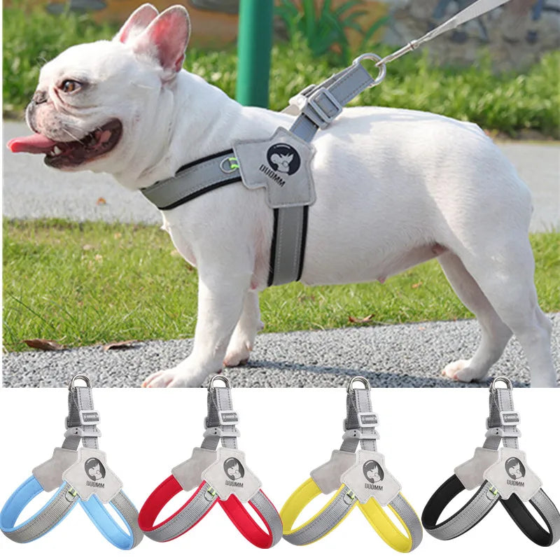 A white dog wearing an adjustable reflective mesh harness vest outdoors, with various colored reflective mesh attachments sho