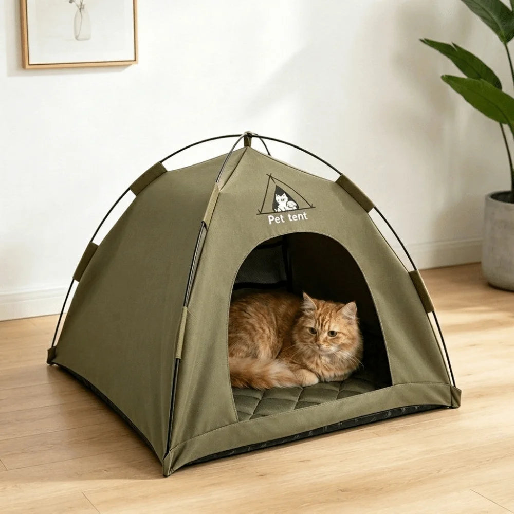 Grüne tragbare Katzenzelt-Hütte auf einem Holzfußboden