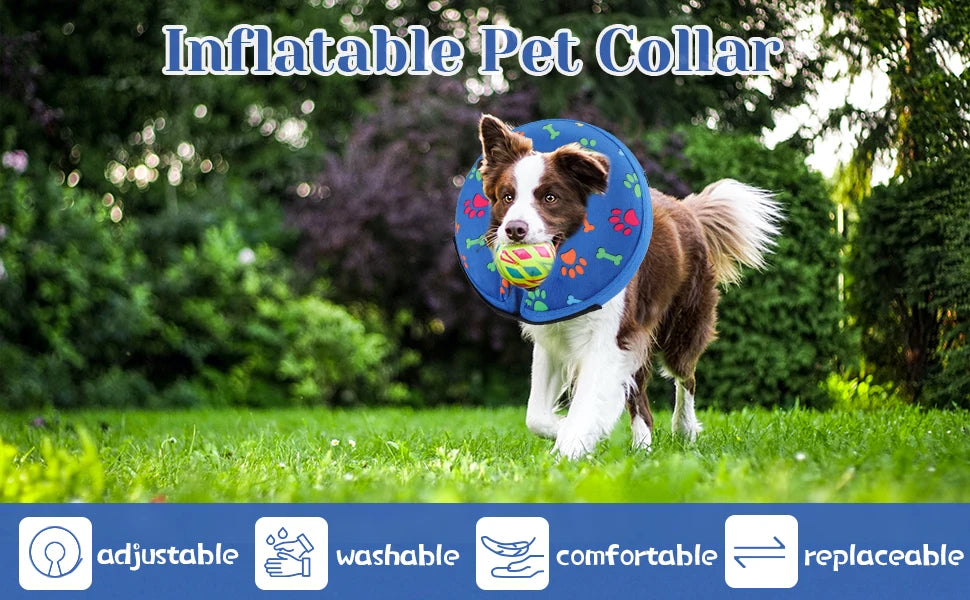 Un perro marrón y blanco lleva un collar inflable azul con un juguete verde, de pie en un entorno exterior de césped.