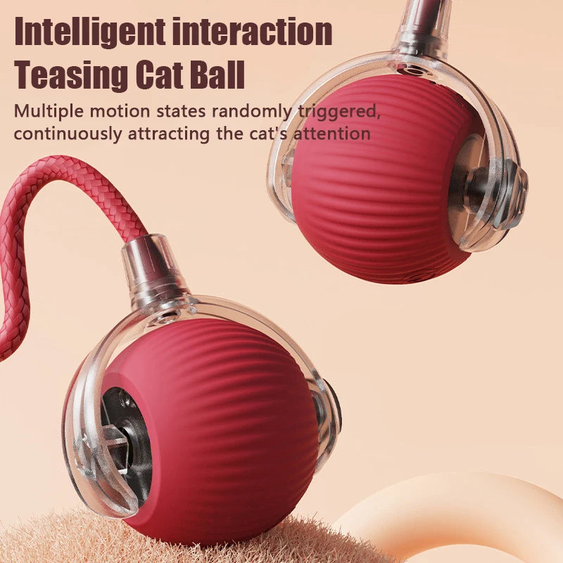 A red silicone cat ball toy with a clear glass attachment is shown against a light background.