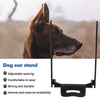 Tête d'un chien brun avec un outil de réglage de l'oreille, contre un arrière-plan extérieur flou.