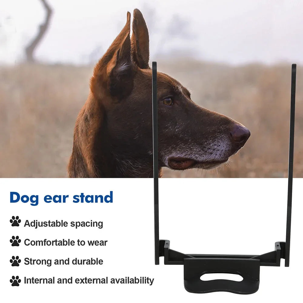 Tête d'un chien brun avec un outil de réglage de l'oreille, contre un arrière-plan extérieur flou.