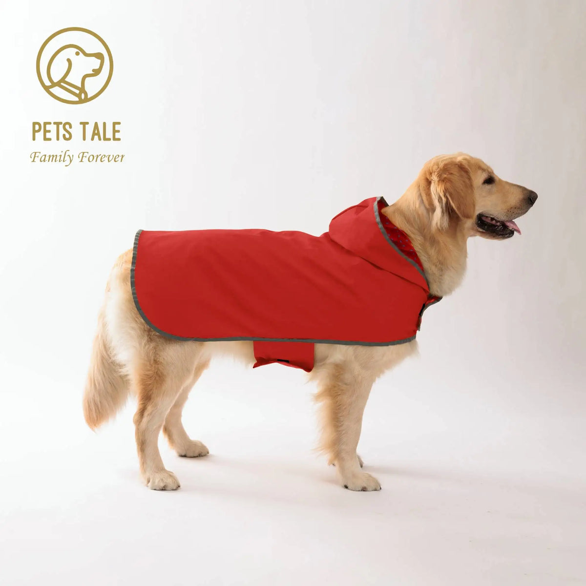 A golden retriever wearing a red all-weather dual-sided dog raincoat.