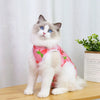 A fluffy blue and white cat wearing a pink recovery vest for post-surgery protection.