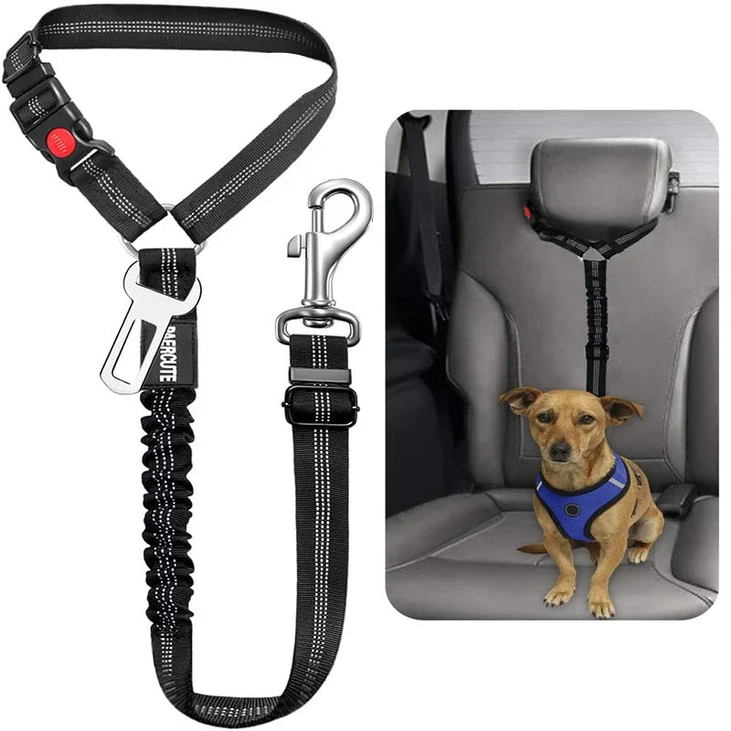 Arnés y correa ajustable negro para perros y gatitos con clip de metal y collar.