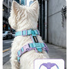 A light blue dog harness with purple accents and reflective strips is shown against a gray wall.