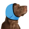 A brown dog wearing a light blue calming noise reduction earmuff on its head.