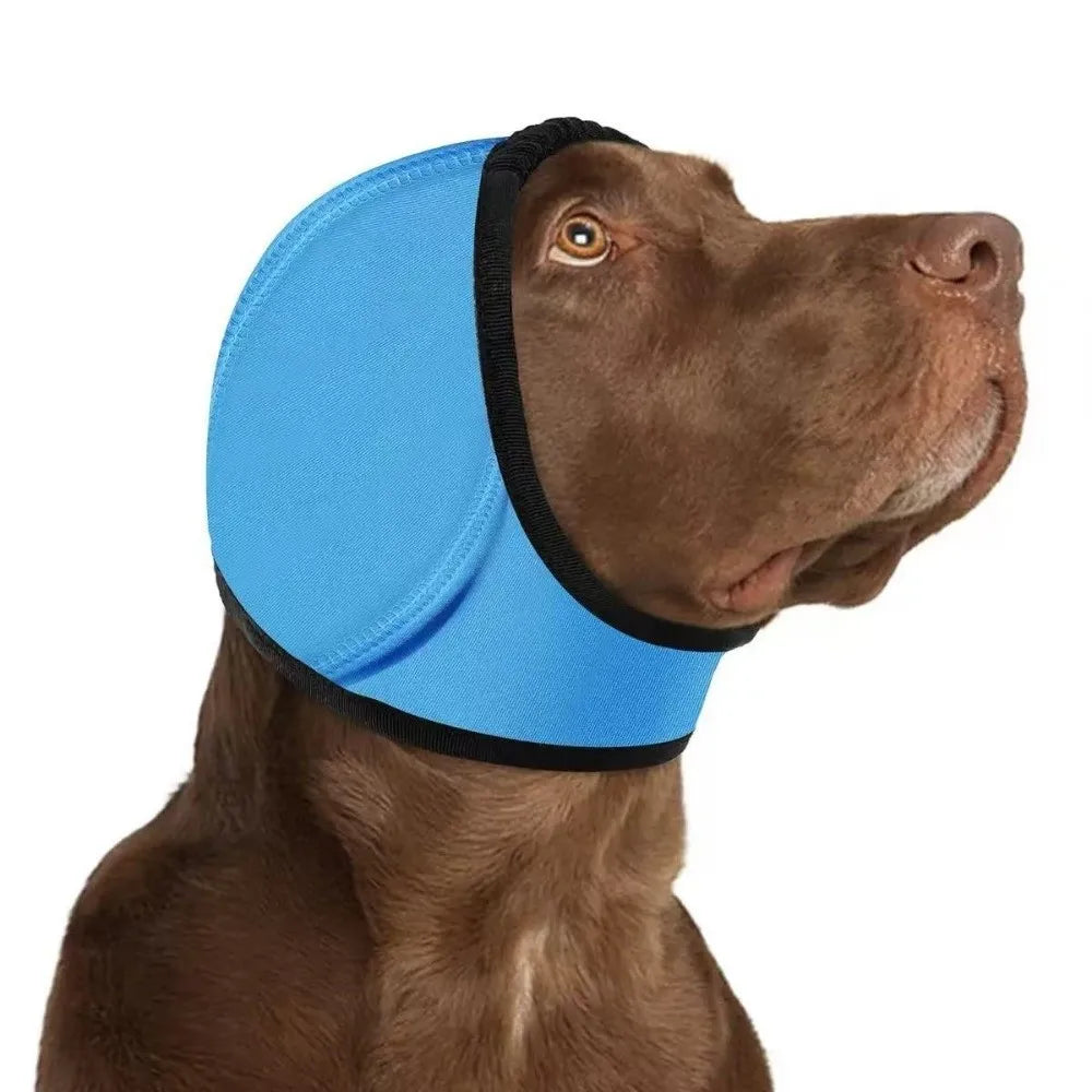 A brown dog wearing a light blue calming noise reduction earmuff on its head.