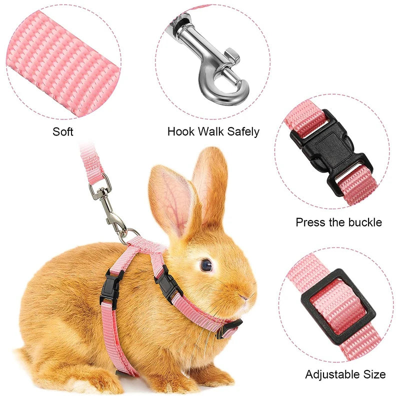 A brown rabbit wearing a pink nylon pet harness and leash set with various components shown.
