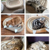 A collection of cats resting on and interacting with various sisal scratcher boards and chew toys.