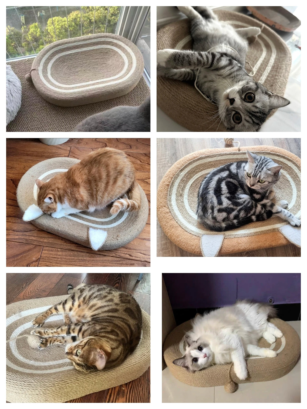 A collection of cats resting on and interacting with various sisal scratcher boards and chew toys.