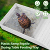 A white plastic ramp reptile drying table feeding tray with a tortoise inside.