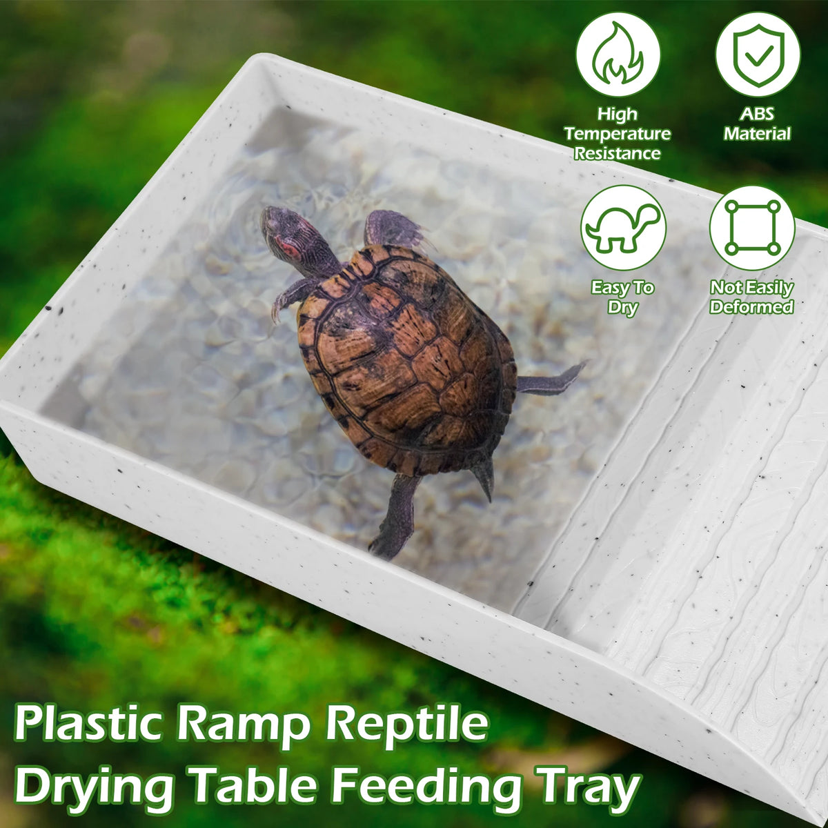 A white plastic ramp reptile drying table feeding tray with a tortoise inside.