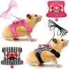 Ein Set aus rosa und schwarz für Hamsterharness und Leine zum Gehen.