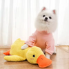 A fluffy white dog is sitting next to a yellow plush duck toy.