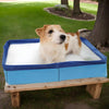 A golden-colored dog is standing in a blue foldable pet wading pool on a wooden bench outdoors.