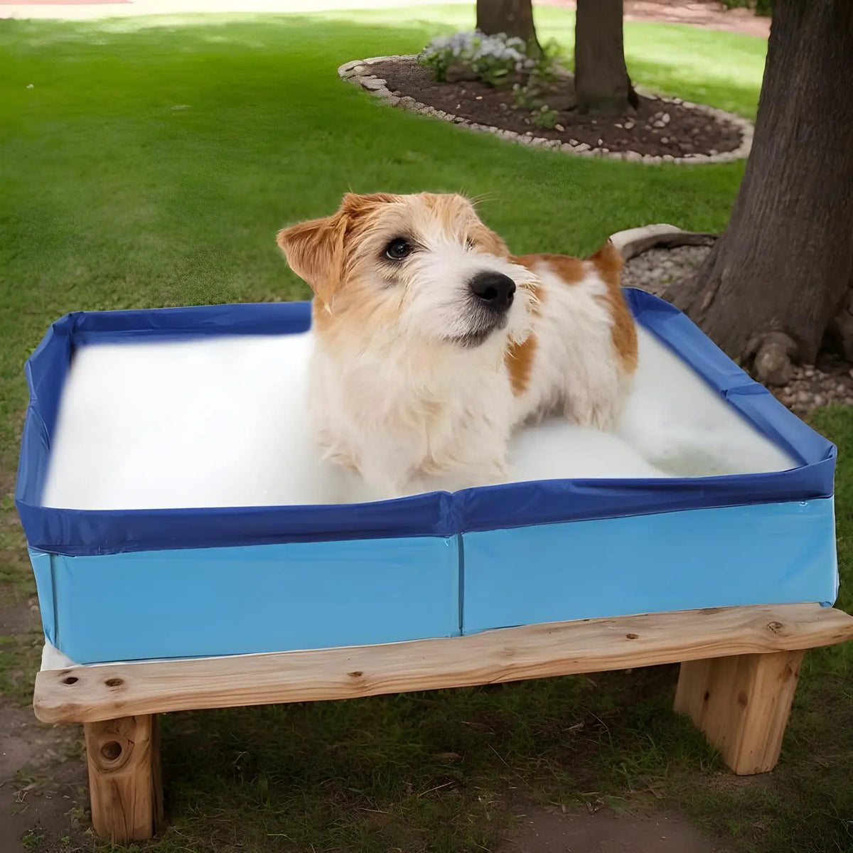 A golden-colored dog is standing in a blue foldable pet wading pool on a wooden bench outdoors.