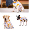 A black and white dog wearing a light blue patterned recovery suit with yellow trim.