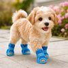 A fluffy light brown dog wearing blue breathable mesh shoes standing outdoors.