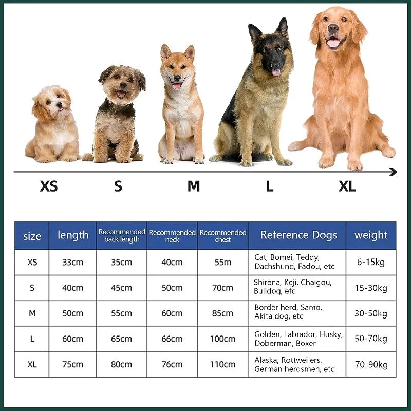 Graphique montrant les tailles et longueurs pour différentes races de chiens, classées de XS à XL.