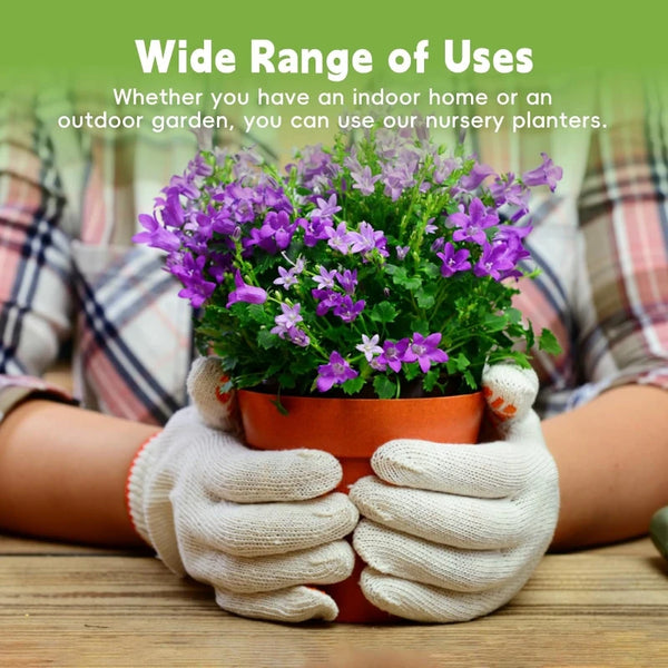 A pair of hands wearing white gardening gloves are holding a vibrant bouquet of purple nursery plants in an orange pot.