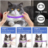 A gray cat wearing a purple calming collar, shown with instructions for use.