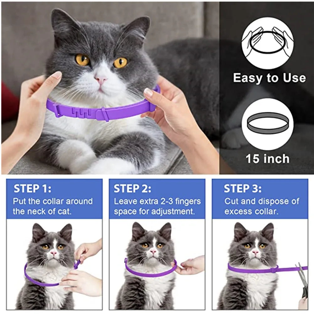 A gray cat wearing a purple calming collar, shown with instructions for use.