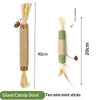 Ten mini mint sticks of natural wooden teething sticks for cats