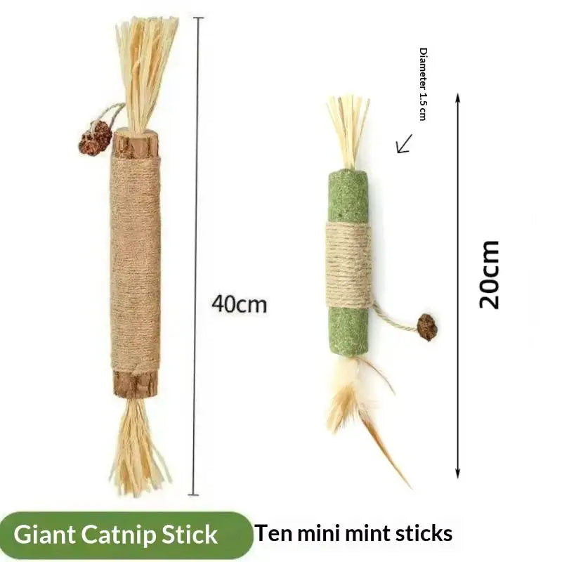 Ten mini mint sticks of natural wooden teething sticks for cats