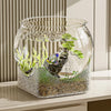 Bocal à poisson en verre clair rempli de mousse et de petites plantes, utilisé comme aquarium décoratif ou objet de bureau.