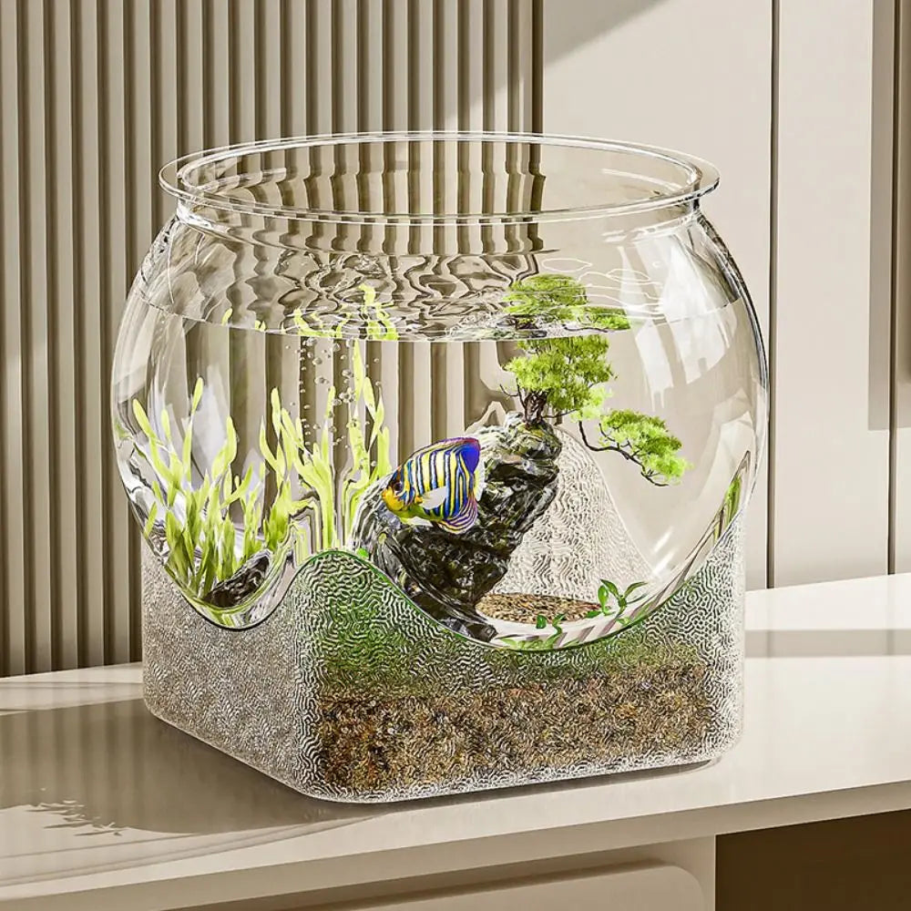 Bocal à poisson en verre clair rempli de mousse et de petites plantes, utilisé comme aquarium décoratif ou objet de bureau.